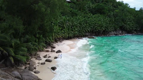 Seychelles beach and palm trees from a bird's eye view Vídeo Stock 290314749