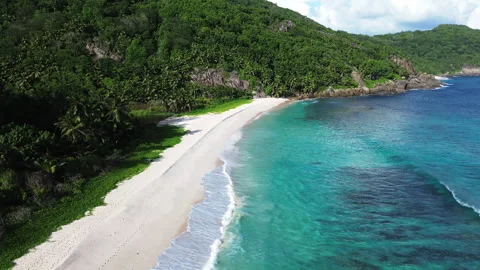 Seychelles beach and palm trees from a bird's eye view Vídeo Stock 290314931