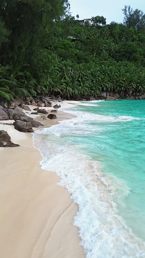 Seychelles beach and palm trees from a bird's eye view Stock Footage 290376319