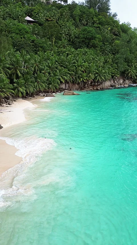 Seychelles beach and palm trees from a bird's eye view Stock Footage 290376887