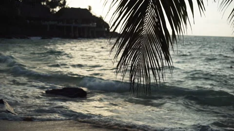 Seychelles beach with blue ocean view Stock Footage 59839817