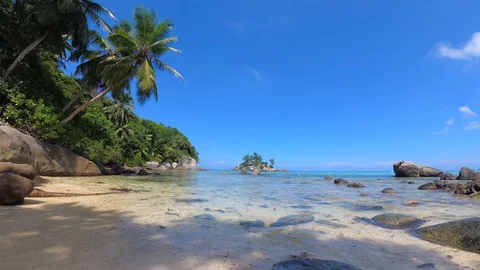 Seychelles beach with palm trees. Blue ocean and white sand beach Vidéo 130074356
