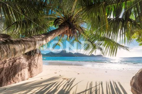 Seychelles beach. Stock Photos