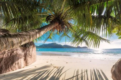 Seychelles beach. Foto stock