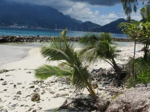 Seychelles beach Stock Photos