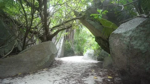 Seychelles Beautiful Anse Source d'Argent La Digue National Park Beach 12 Vidéo 196428560