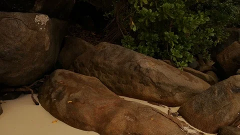 Seychelles - coast Stock Footage 124094880