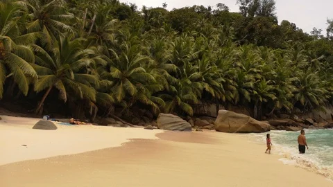 Seychelles - coast2 Stock Footage 124094908