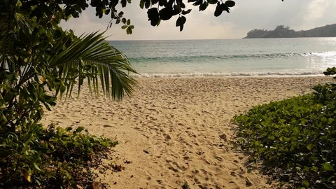 Seychelles - coast3 Stock Footage