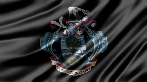 Seychelles coat of arms displayed on a dark fabric background Stock-Footage 344846842