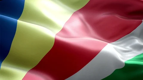 Seychelles Flag Stock Footage 116396969