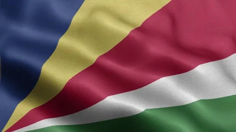 Seychelles flag Front Stock Footage 318669484