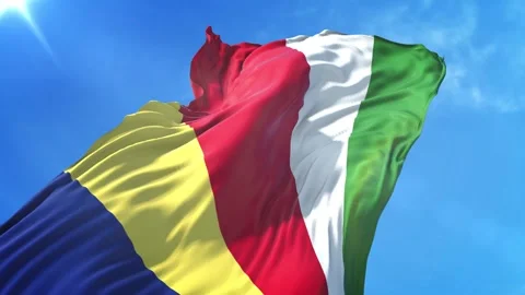 Seychelles Flag Low Angle View Stock Footage 295702947