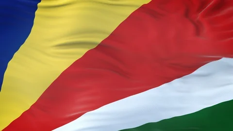 Seychelles flag waving in the wind with highly detailed fabric texture 動画素材 124713109