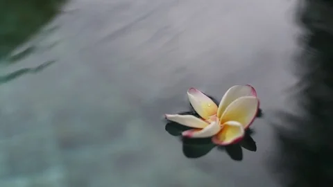 Seychelles 库存影片 83794788