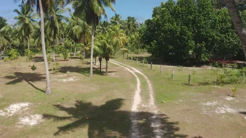 Seychelles inland Stock Footage 150860420