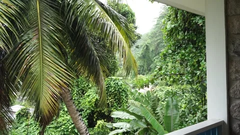 Seychelles Jungle Balcony Vidéo 196487138