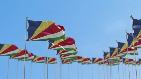 Seychelles Row Of Flags Animation Vídeo Stock 148792363