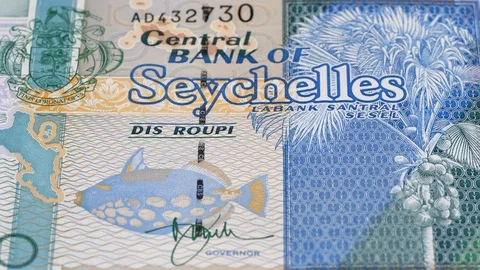 Seychelles rupee banknotes slow tracking. Slider shot. Low angle,macro. 4K Video stock 126609210