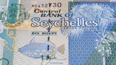 Seychelles rupee notes fast tracking. Slider shot. Low angle,macro. 4K Stock Footage 126661405