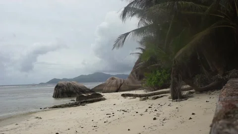 Seychelles Sandy Beach Rocks and Palm Trees 4C Vidéo 196493751