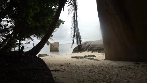 Seychelles Sandy Beach Rocks and Palm Trees 4H Vidéo 196496407