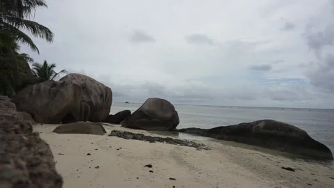 Seychelles Sandy Beach Rocks and Palm Trees 4D Vidéo 196581805