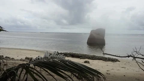 Seychelles Sandy Beach Rocks and Palm Trees 4F Vidéo 196581925