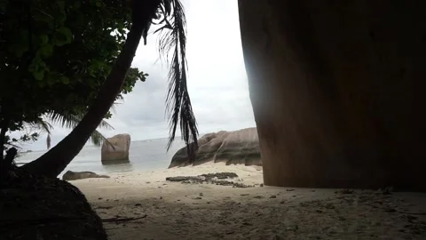 Seychelles Sandy Beach Rocks and Palm Trees 4G Vidéo 196583456