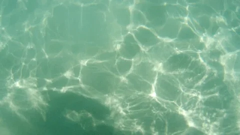 Seychelles - underwater fish Stock Footage 124095162