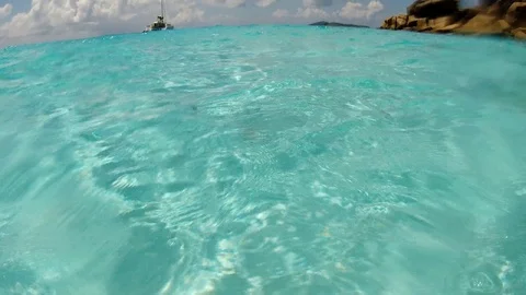 Seychelles - underwater fish2 Stock Footage 124095171