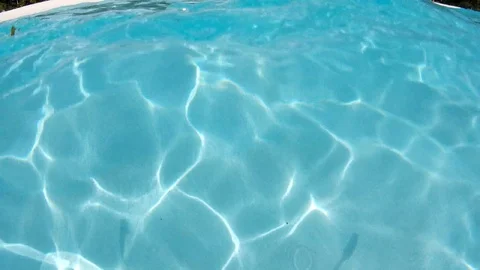 Seychelles - underwater fish3 Stock Footage 124095216