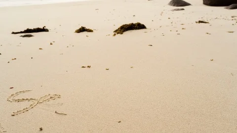 Seychelles written in the sand Stock Footage 101659899