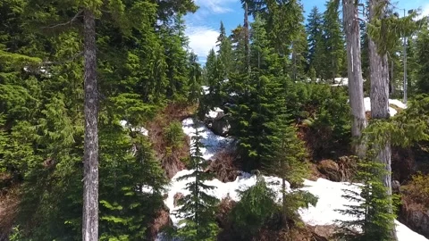 Seymour Mountain in Early Spring Stock Footage 255315741