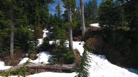 Seymour Mountain in Early Spring Stock Footage 255315843