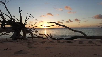 Seyshelles sunrise 2 Video stock 85598380