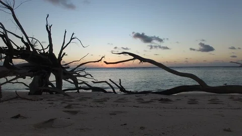 Seyshelles sunrise 4 Video stock 85598203