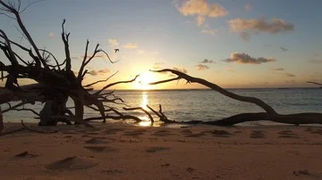 Seyshelles sunrise 5 Video stock 85598189