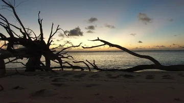 Seyshelles sunrise 6 Video stock 85598134