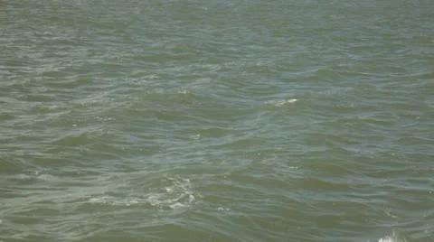 SF AlcatrazWideTilts02 Video stock 11287052