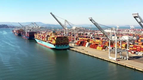 SF Bay Drone  Stock Footage 249965667