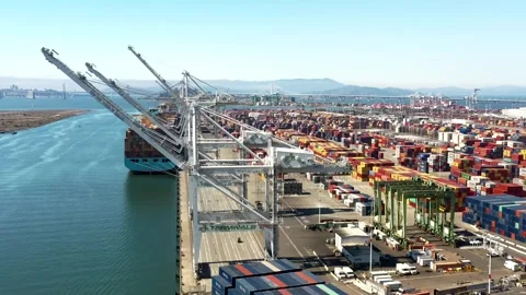 SF Bay Drone  Stock Footage 249965692