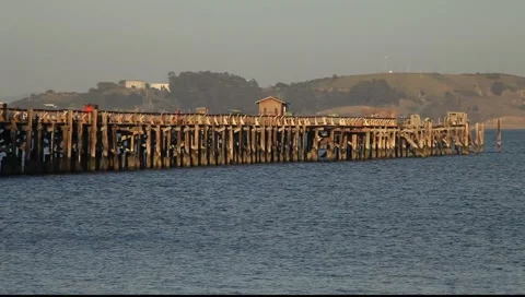 SF San Quentin Pier MVI 3995 Stock Footage
