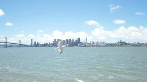 SF Skyline Lockoff02 Video stock 11264080