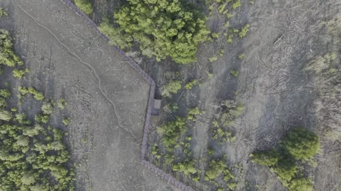 SFF Drone Mangrove forest Chonburi 04092026 DJI 0045 스톡 동영상 339228510