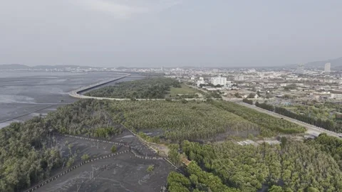SFF Drone Mangrove forest Chonburi 04092026 DJI 0048 Stock Footage 339228960