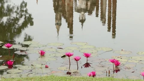 SFF large seated Budha Wat Mahathat Sukhothai Historical Park 12082017 010 M Video stock 334953397