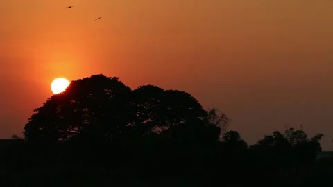 SFF Sunset at Ping river Kamphaeng Phet 12102017 010 MVI 3587 Stock Footage 323511671