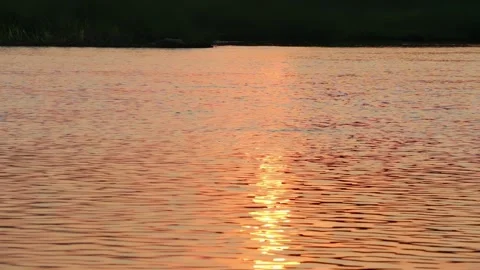 SFF Sunset at Ping river Kamphaeng Phet 12102017 010 MVI 3586 Video stock 323511870