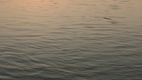 SFF Sunset at Ping river Kamphaeng Phet 12102017 010 MVI 3588 Video stock 323511935